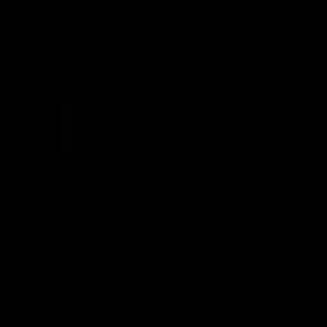 Meet your Posher, Ricardo